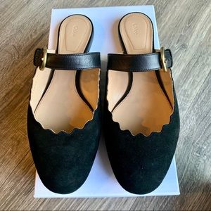 Chloe Lauren Flat Suede Mary Jane Slide